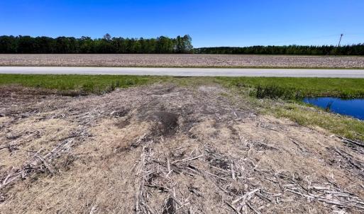 Photo #28 of SOLD property in Off Arant Farm Rd, Merritt, NC 79.5 acres