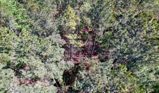 Photo #29 of SOLD property in Off Arant Farm Rd, Merritt, NC 79.5 acres