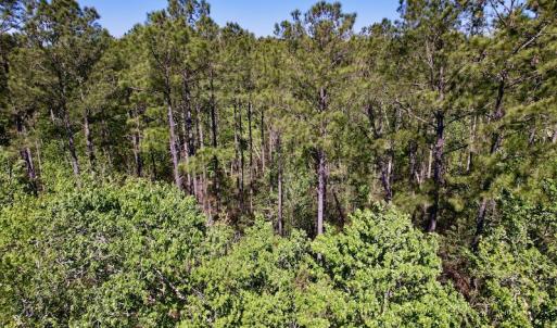 Photo #30 of SOLD property in Off Arant Farm Rd, Merritt, NC 79.5 acres