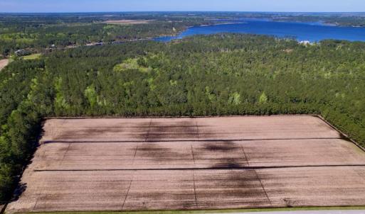 Photo #4 of SOLD property in Off Arant Farm Rd, Merritt, NC 79.5 acres