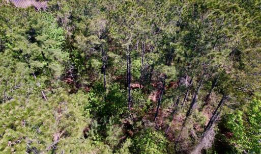 Photo #32 of SOLD property in Off Arant Farm Rd, Merritt, NC 79.5 acres
