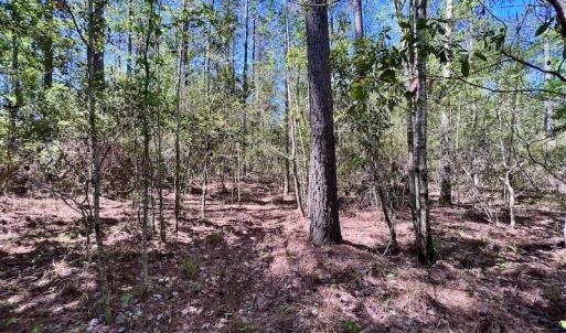 Photo #35 of SOLD property in Off Arant Farm Rd, Merritt, NC 79.5 acres