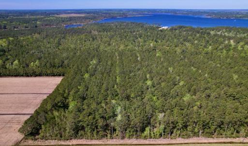 Photo #5 of SOLD property in Off Arant Farm Rd, Merritt, NC 79.5 acres