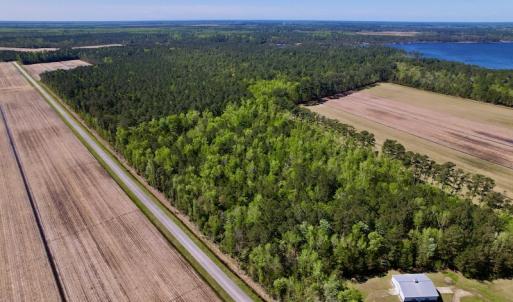 Photo #6 of SOLD property in Off Arant Farm Rd, Merritt, NC 79.5 acres