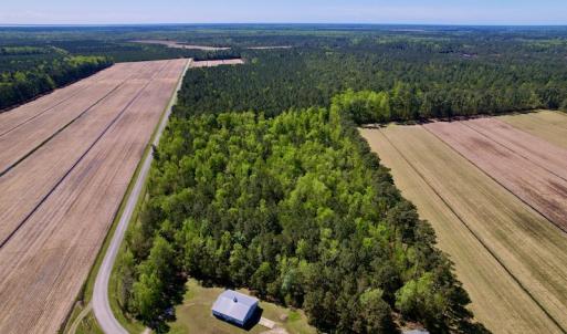 Photo #7 of SOLD property in Off Arant Farm Rd, Merritt, NC 79.5 acres