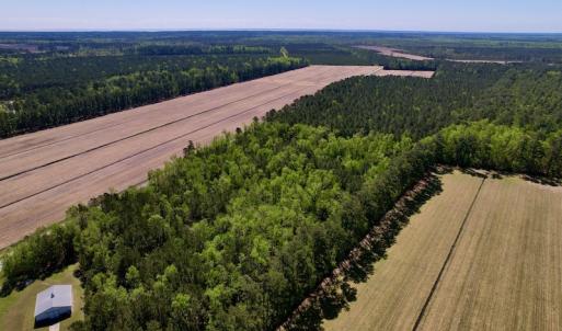 Photo #8 of SOLD property in Off Arant Farm Rd, Merritt, NC 79.5 acres