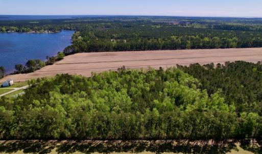 Photo #9 of SOLD property in Off Arant Farm Rd, Merritt, NC 79.5 acres