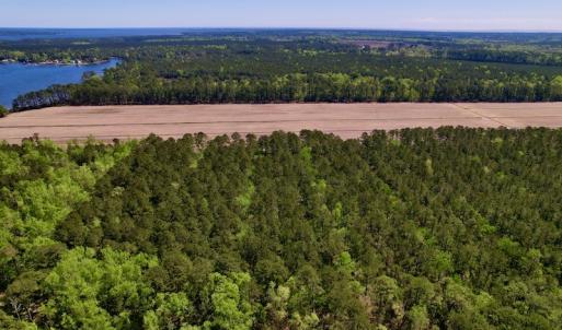 Photo #10 of SOLD property in Off Arant Farm Rd, Merritt, NC 79.5 acres