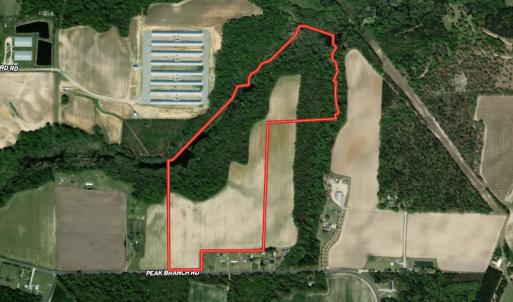 Photo #1 of 664 Peak Branch Rd, Snow Hill, NC 54.6 acres