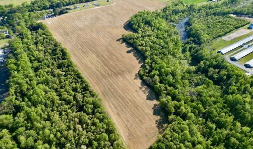 Photo #2 of 664 Peak Branch Rd, Snow Hill, NC 54.6 acres
