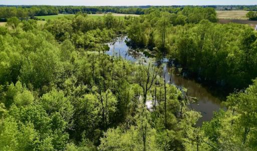 Photo #13 of 664 Peak Branch Rd, Snow Hill, NC 54.6 acres