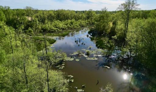 Photo #14 of 664 Peak Branch Rd, Snow Hill, NC 54.6 acres