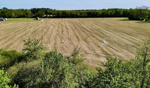 Photo #15 of 664 Peak Branch Rd, Snow Hill, NC 54.6 acres