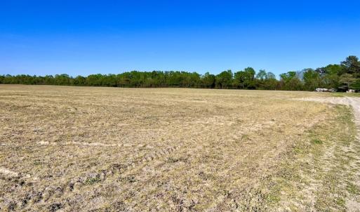 Photo #17 of 664 Peak Branch Rd, Snow Hill, NC 54.6 acres