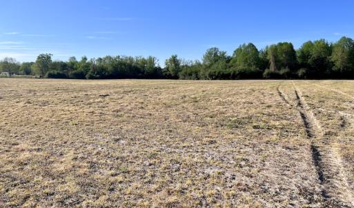 Photo #19 of 664 Peak Branch Rd, Snow Hill, NC 54.6 acres