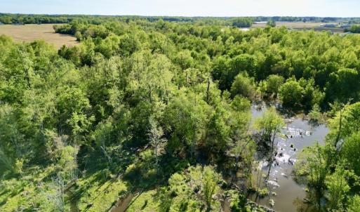 Photo #20 of 664 Peak Branch Rd, Snow Hill, NC 54.6 acres