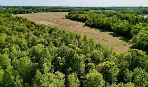 Photo #21 of 664 Peak Branch Rd, Snow Hill, NC 54.6 acres