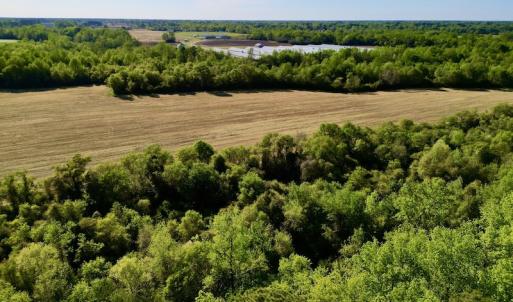 Photo #23 of 664 Peak Branch Rd, Snow Hill, NC 54.6 acres
