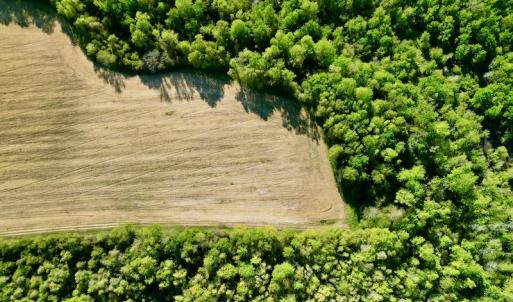 Photo #24 of 664 Peak Branch Rd, Snow Hill, NC 54.6 acres