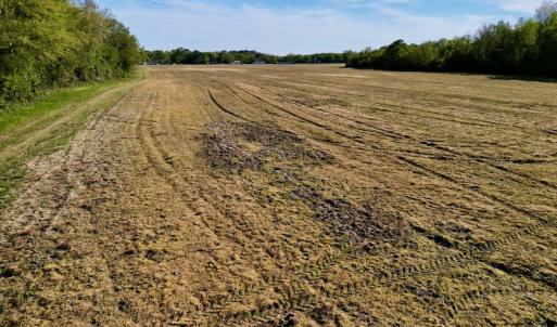 Photo #25 of 664 Peak Branch Rd, Snow Hill, NC 54.6 acres