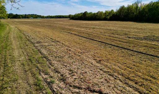 Photo #26 of 664 Peak Branch Rd, Snow Hill, NC 54.6 acres