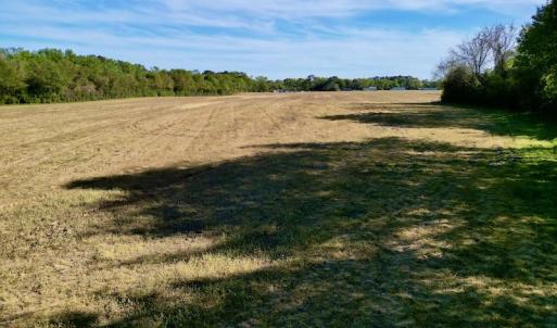 Photo #28 of 664 Peak Branch Rd, Snow Hill, NC 54.6 acres