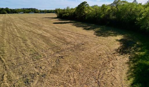 Photo #30 of 664 Peak Branch Rd, Snow Hill, NC 54.6 acres