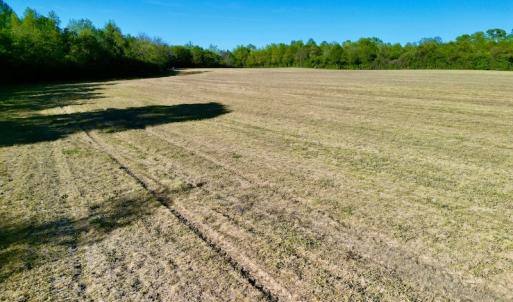 Photo #31 of 664 Peak Branch Rd, Snow Hill, NC 54.6 acres