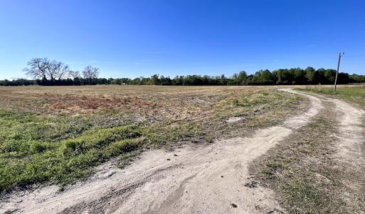 Photo #32 of 664 Peak Branch Rd, Snow Hill, NC 54.6 acres