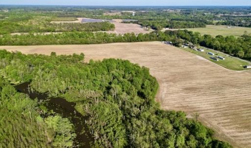 Photo #5 of 664 Peak Branch Rd, Snow Hill, NC 54.6 acres