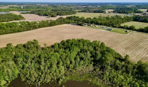 Photo #6 of 664 Peak Branch Rd, Snow Hill, NC 54.6 acres