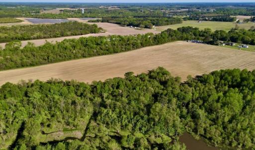 Photo #7 of 664 Peak Branch Rd, Snow Hill, NC 54.6 acres