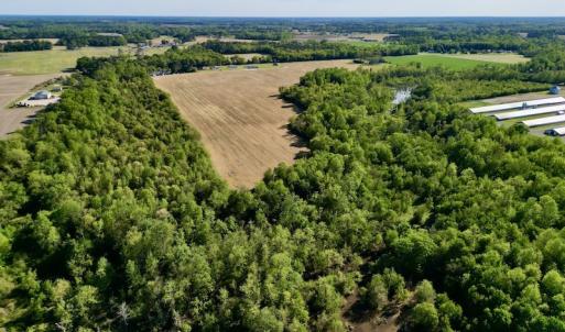 Photo #9 of 664 Peak Branch Rd, Snow Hill, NC 54.6 acres
