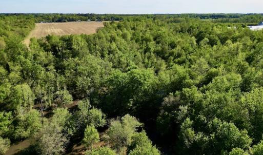 Photo #10 of 664 Peak Branch Rd, Snow Hill, NC 54.6 acres