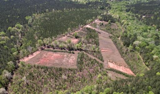Photo #10 of SOLD property in Off Taylor’s Store Road , Nashville, NC 21.2 acres
