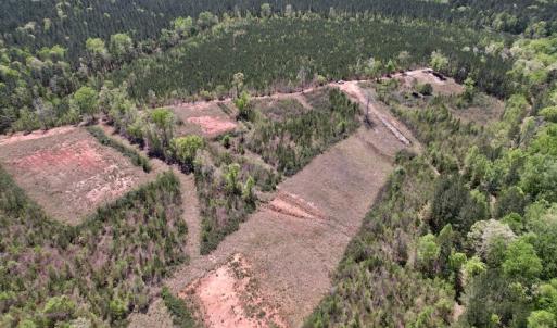 Photo #12 of SOLD property in Off Taylor’s Store Road , Nashville, NC 21.2 acres