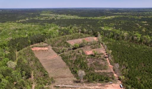 Photo #14 of SOLD property in Off Taylor’s Store Road , Nashville, NC 21.2 acres