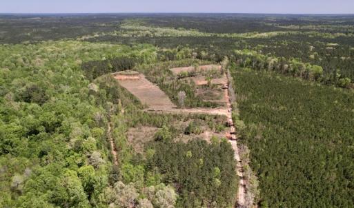 Photo #15 of SOLD property in Off Taylor’s Store Road , Nashville, NC 21.2 acres
