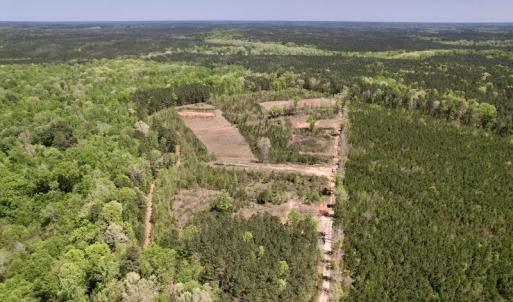 Photo #16 of SOLD property in Off Taylor’s Store Road , Nashville, NC 21.2 acres