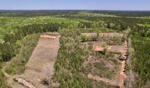 Photo #19 of SOLD property in Off Taylor’s Store Road , Nashville, NC 21.2 acres