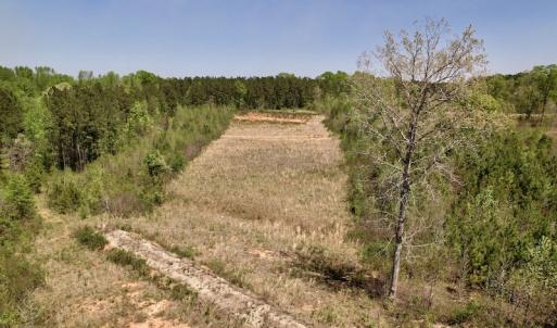 Photo #20 of SOLD property in Off Taylor’s Store Road , Nashville, NC 21.2 acres