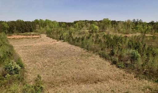 Photo #21 of SOLD property in Off Taylor’s Store Road , Nashville, NC 21.2 acres