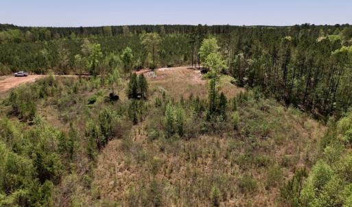 Photo #22 of SOLD property in Off Taylor’s Store Road , Nashville, NC 21.2 acres