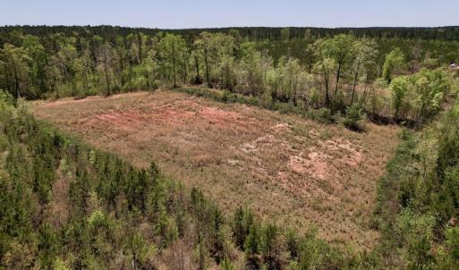 Photo #28 of SOLD property in Off Taylor’s Store Road , Nashville, NC 21.2 acres