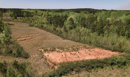 Photo #29 of SOLD property in Off Taylor’s Store Road , Nashville, NC 21.2 acres