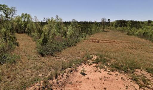 Photo #30 of SOLD property in Off Taylor’s Store Road , Nashville, NC 21.2 acres