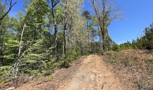 Photo #32 of SOLD property in Off Taylor’s Store Road , Nashville, NC 21.2 acres
