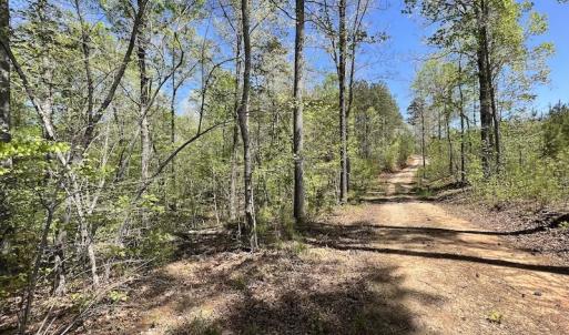 Photo #33 of SOLD property in Off Taylor’s Store Road , Nashville, NC 21.2 acres