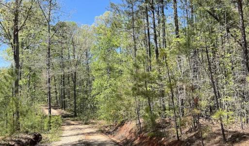 Photo #36 of SOLD property in Off Taylor’s Store Road , Nashville, NC 21.2 acres