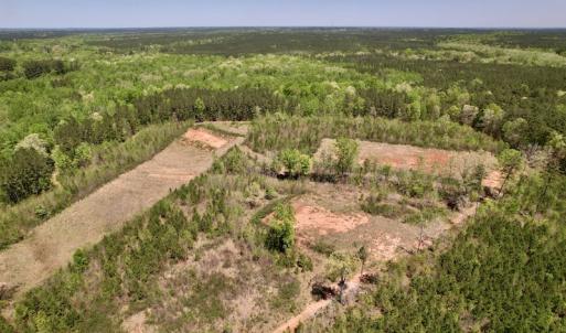 Photo #4 of SOLD property in Off Taylor’s Store Road , Nashville, NC 21.2 acres